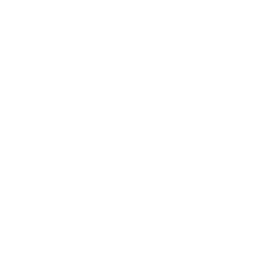 Payválida